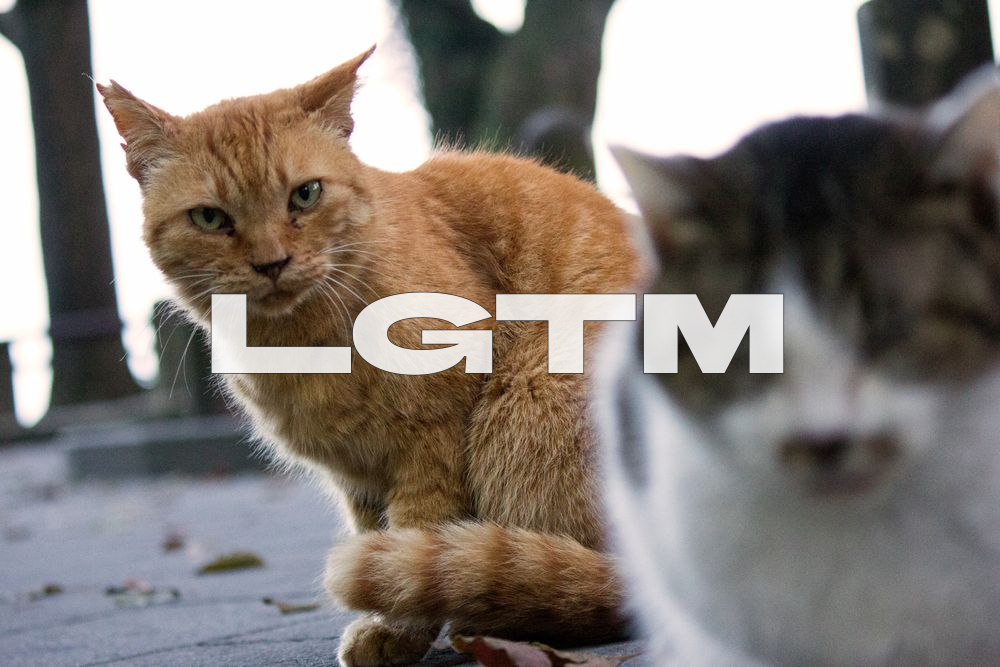LGTM Image