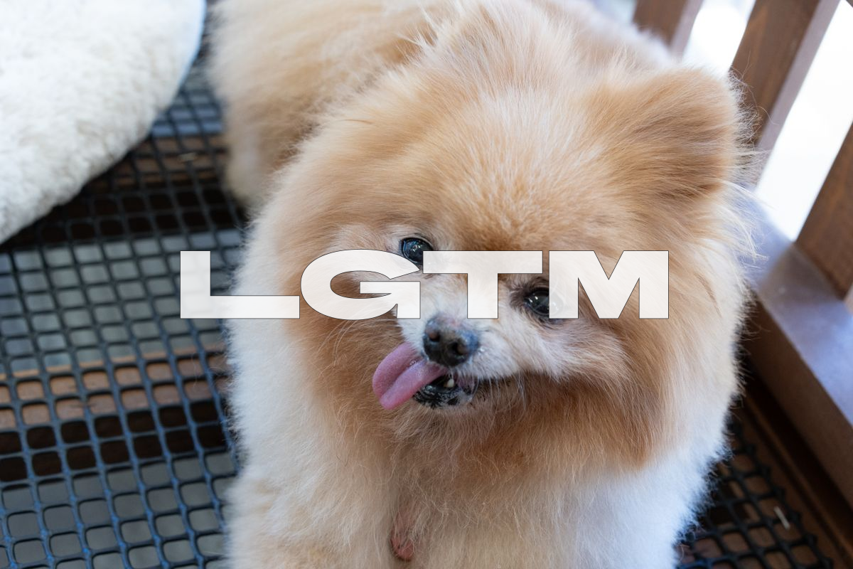 LGTM Image