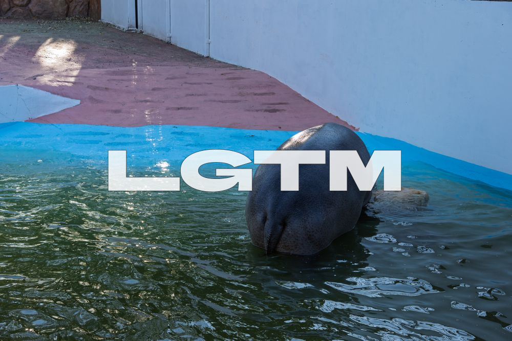 LGTM Image