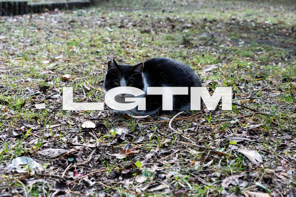 LGTM Image