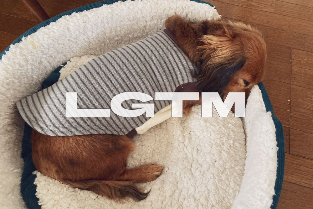 LGTM Image