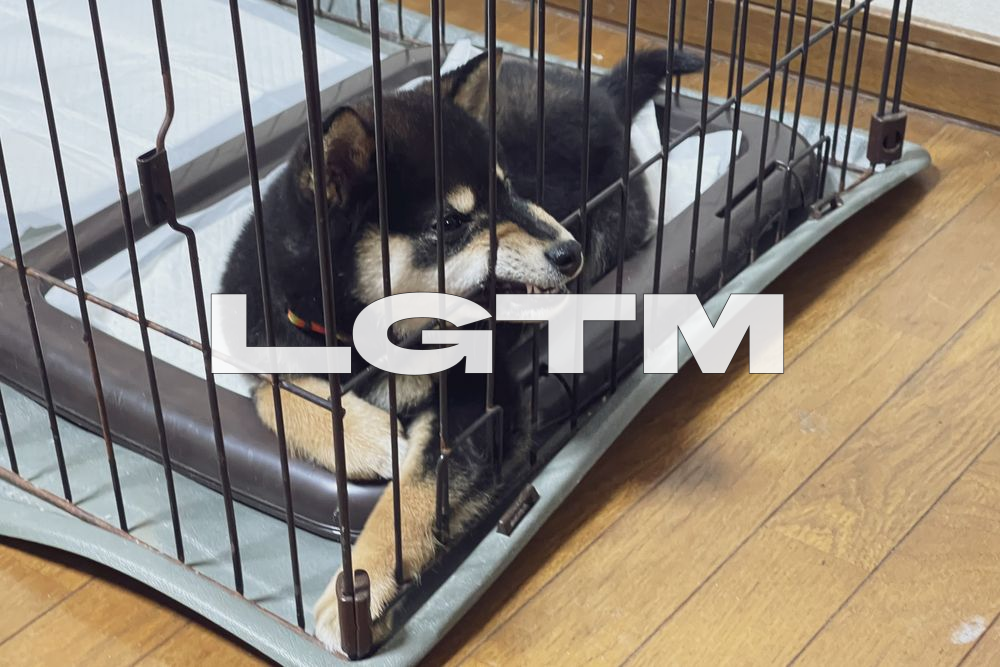 LGTM Image