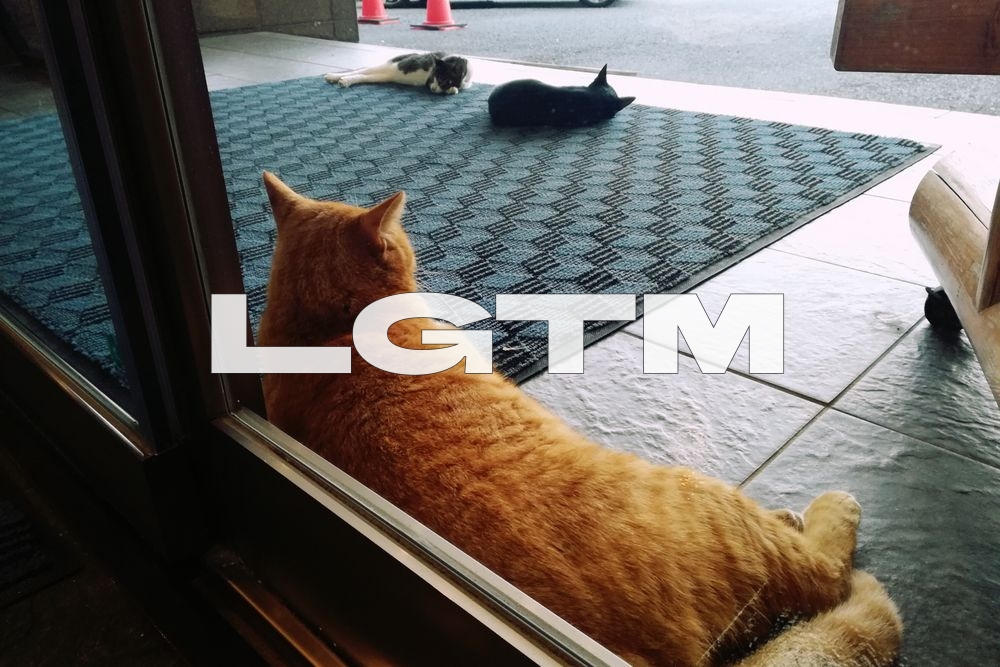 LGTM Image