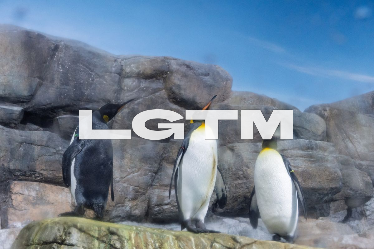LGTM Image